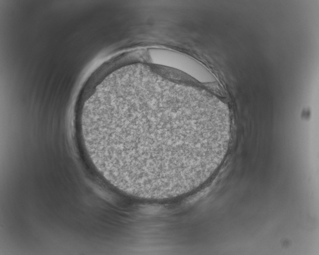 X0000116590246201001211332