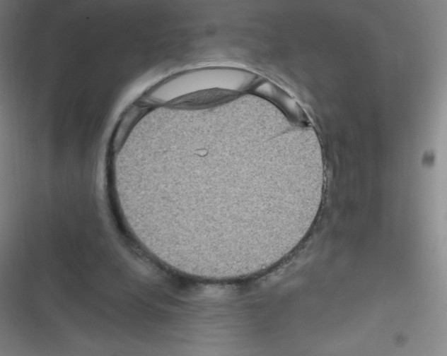 X0000116590248201001211332