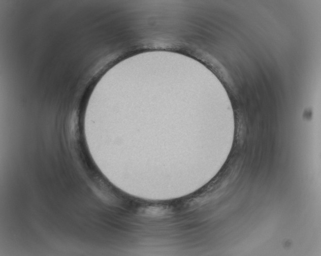 X0000116590251201001211332