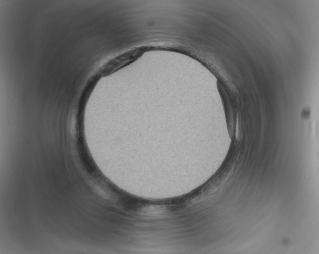 X0000116590252201001211332