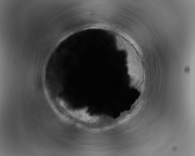 X0000116590253201001211332