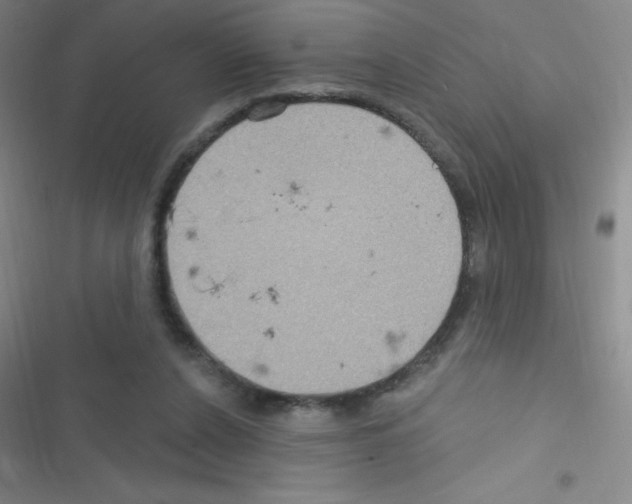 X0000116590256201001211332