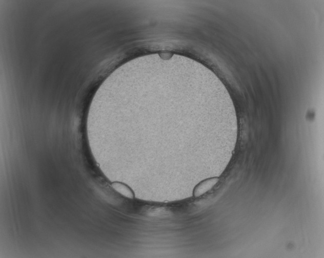 X0000116590258201001211332