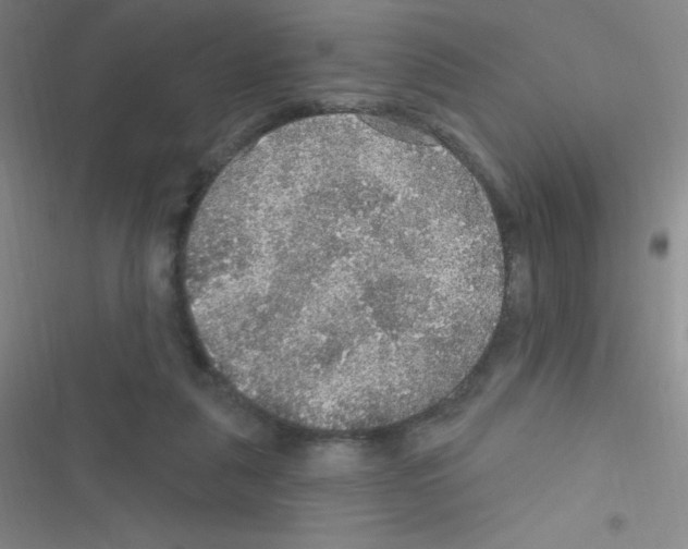 X0000116590259201001211332