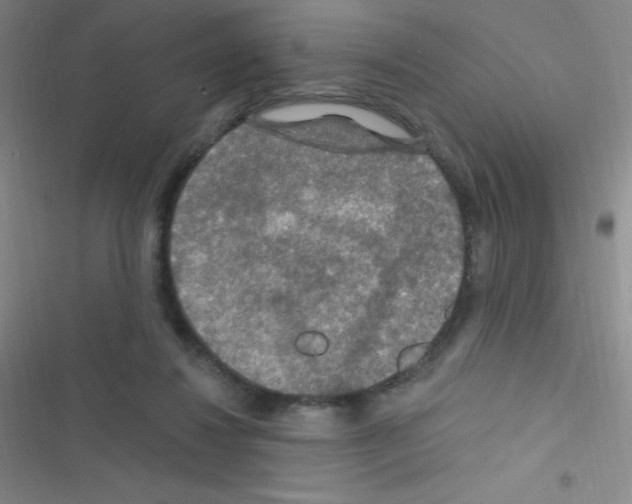 X0000116590260201001211332