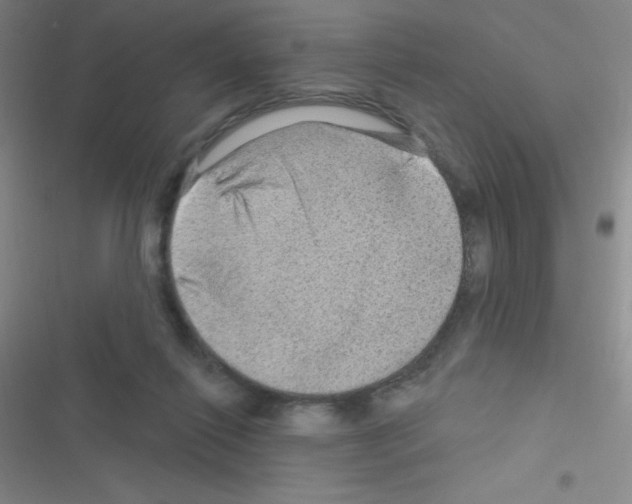 X0000116590262201001211332