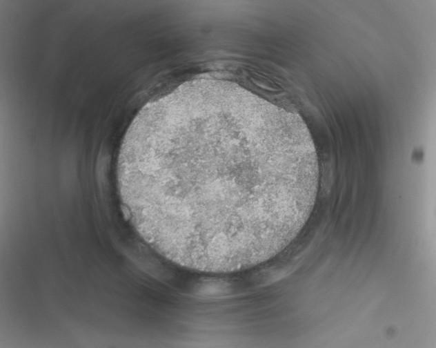 X0000116590263201001211332