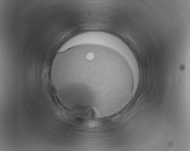 X0000116590264201001211332