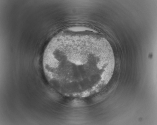 X0000116590270201001211332