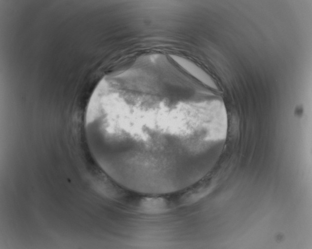 X0000116590271201001211332