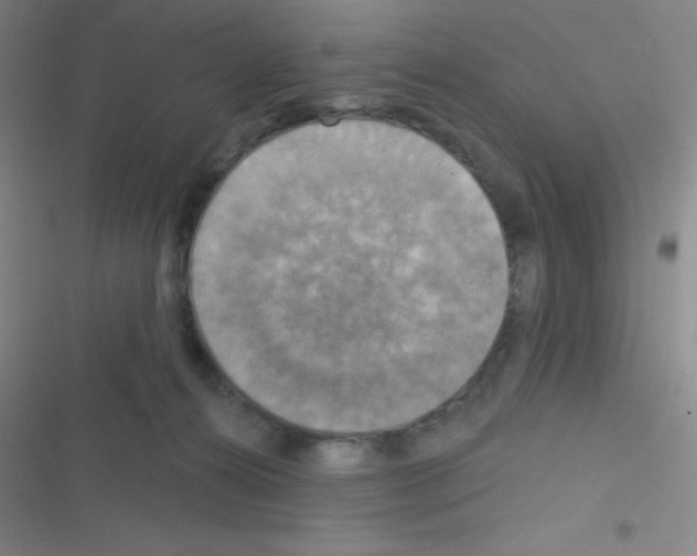 X0000116590272201001211332