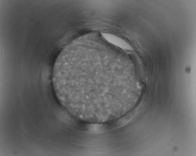 X0000116590273201001211332