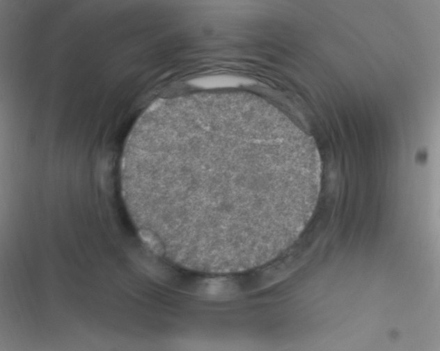 X0000116590275201001211332