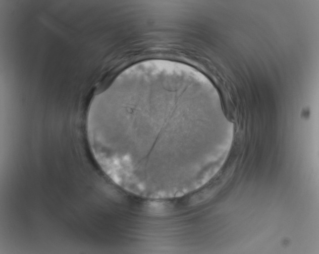 X0000116590277201001211332