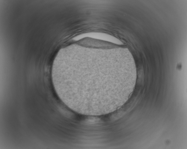 X0000116590278201001211332