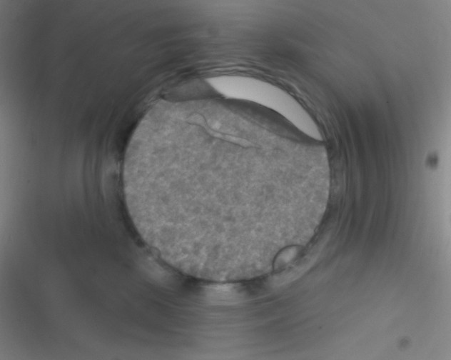 X0000116590281201001211332