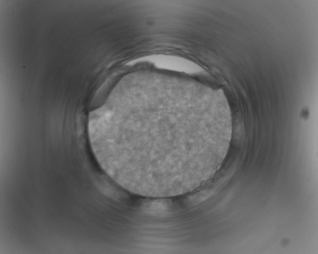 X0000116590282201001211332