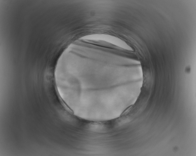 X0000116590284201001211332