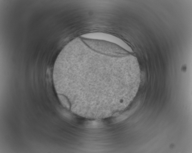 X0000116590286201001211332