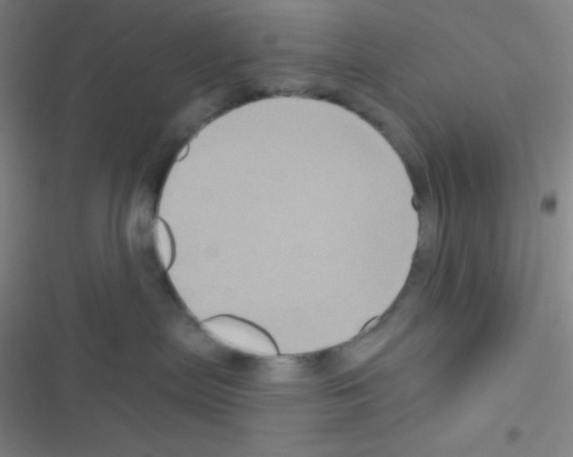 X0000116590287201001211332