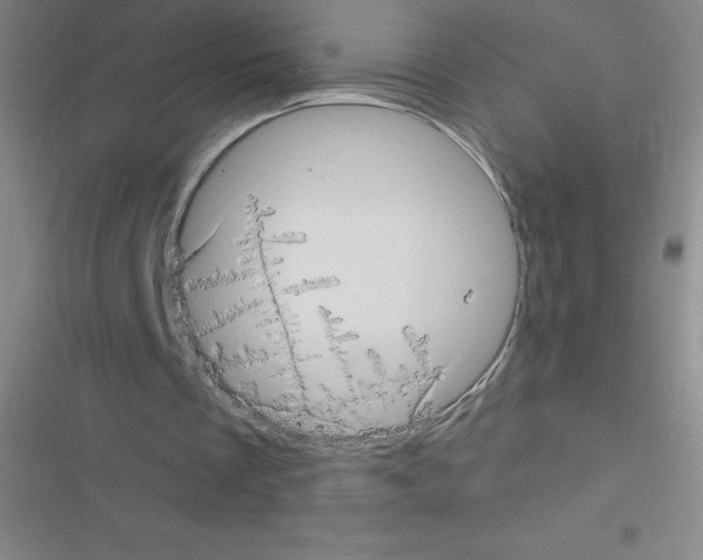 X0000116590289201001211332