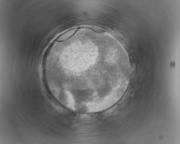 X0000116590290201001211332