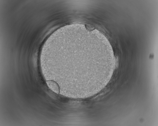 X0000116590291201001211332