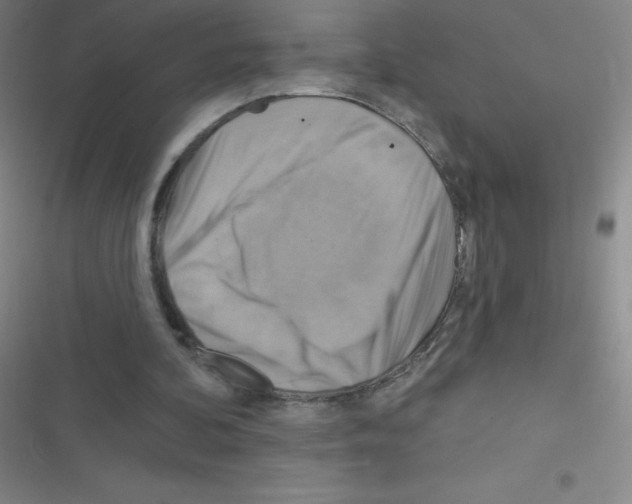 X0000116590292201001211332