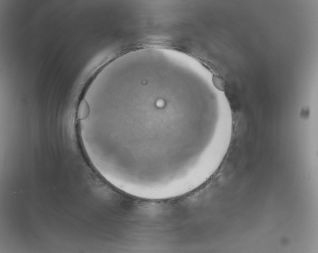 X0000116590293201001211332