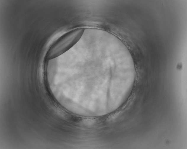 X0000116590294201001211332