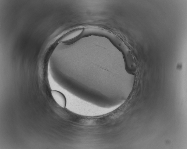 X0000116590295201001211332