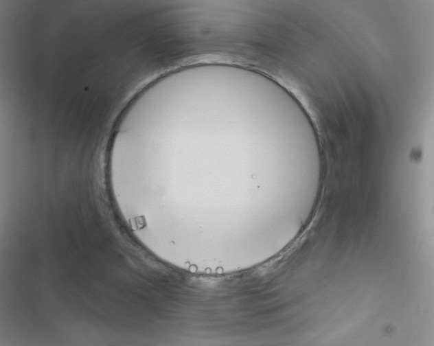 X0000116590297201001211332