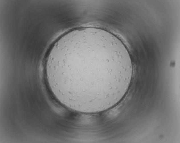 X0000116590298201001211332