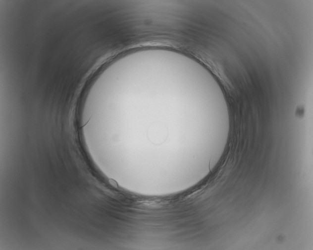 X0000116590300201001211332