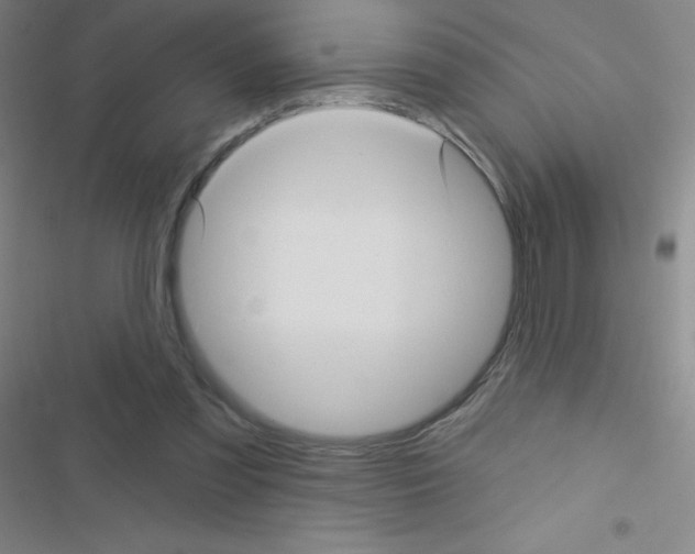 X0000116590301201001211332