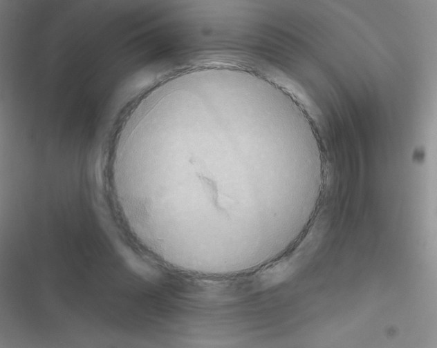 X0000116590302201001211332