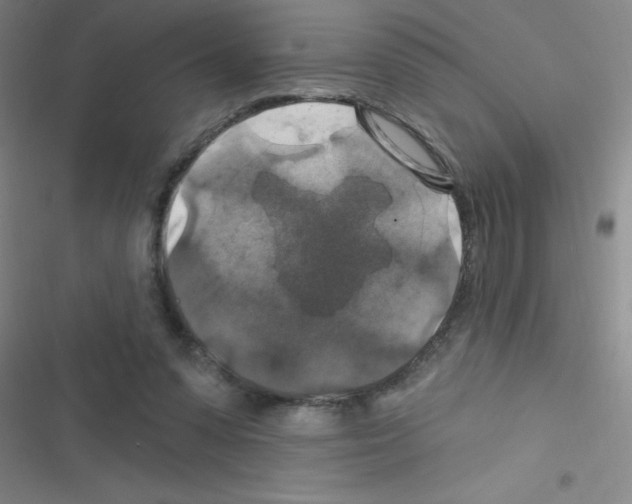 X0000116590303201001211331