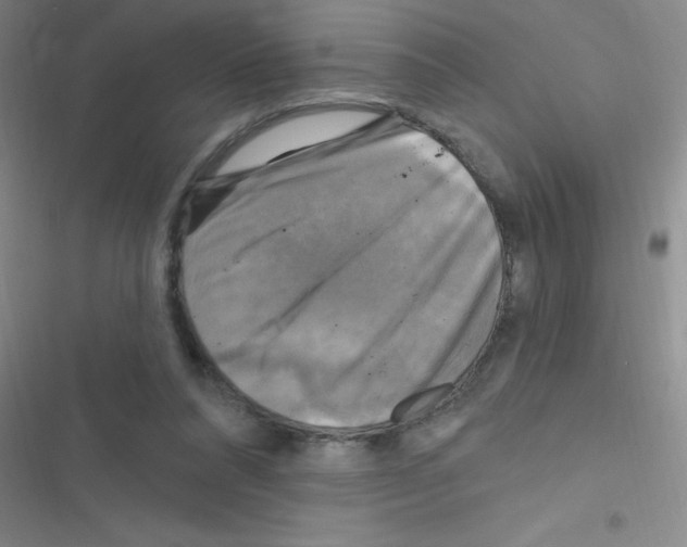 X0000116590304201001211331