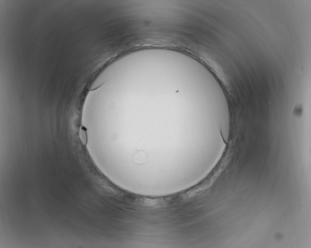 X0000116590305201001211331