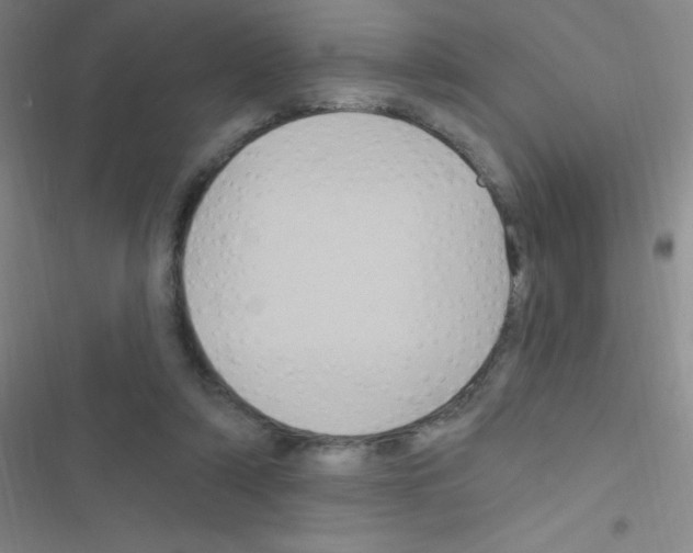 X0000116590306201001211331