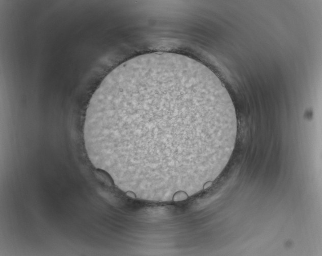 X0000116590307201001211331