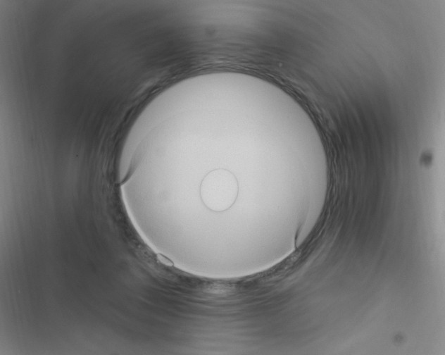 X0000116590308201001211331