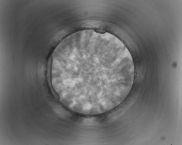 X0000116590309201001211331