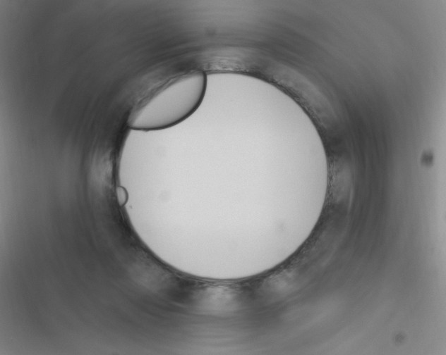 X0000116590310201001211331