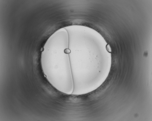 X0000116590311201001211331