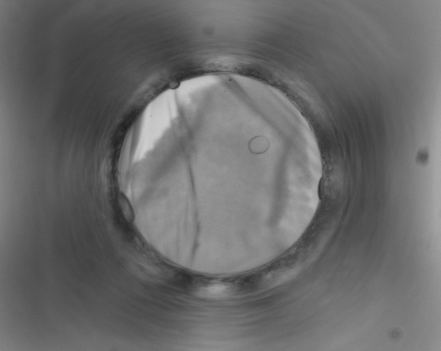 X0000116590312201001211331