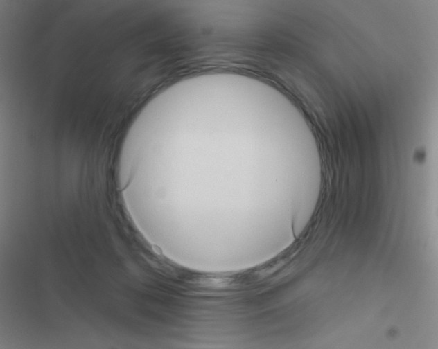 X0000116590316201001211331