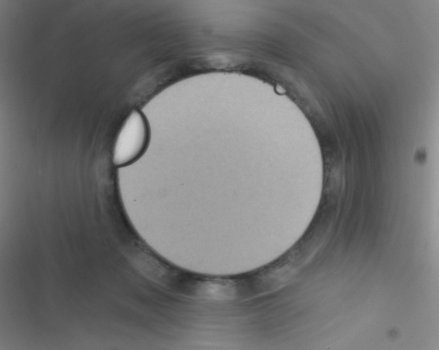 X0000116590317201001211331