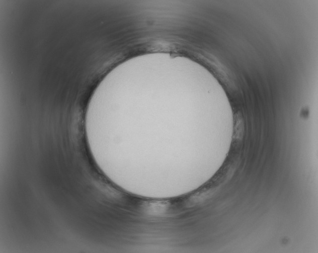 X0000116590318201001211331