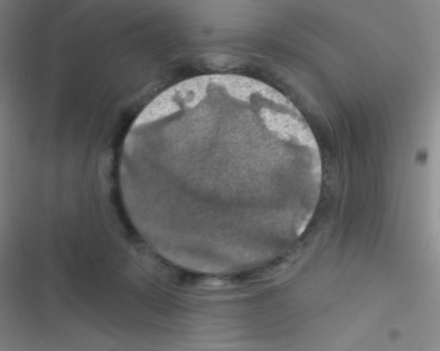 X0000116590319201001211331